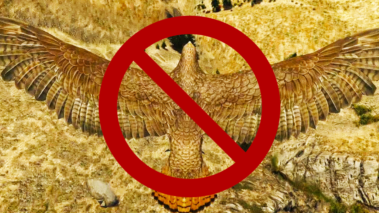 Wasted Bird Skip! (How to Skip Wasting the Bird/Save Editor DM Outfit Glitch!) **Save Wizard** 1.50