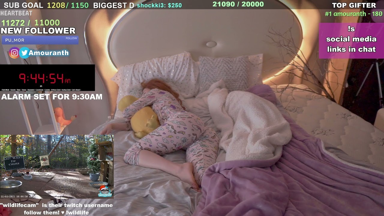 Twitch Streamer Makes $15,000 Per Month From Sleep Streams
